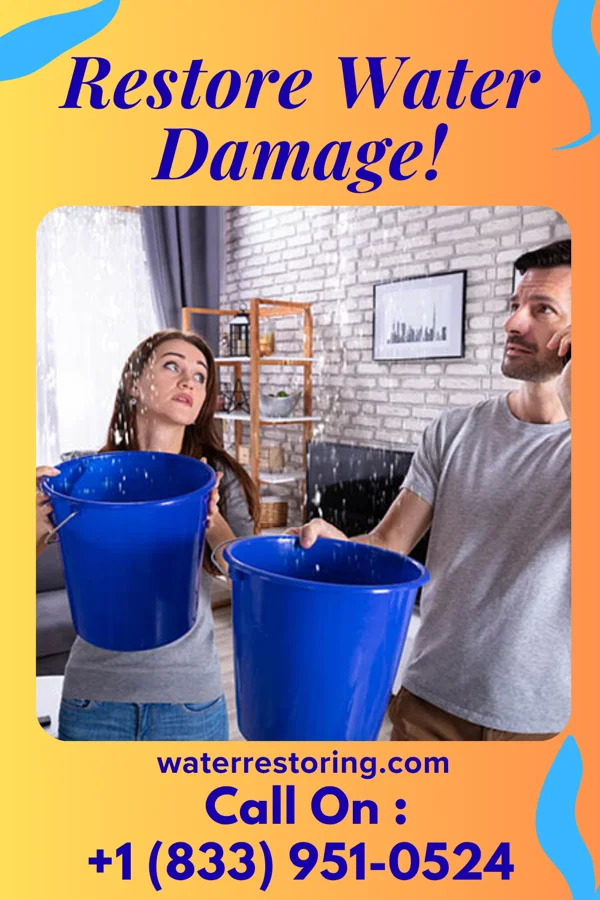 water restoration Citywide Extraction Solutions Rossville