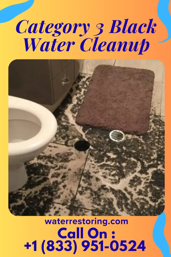 Category 3 Black Water Cleanup in Rossville, IN