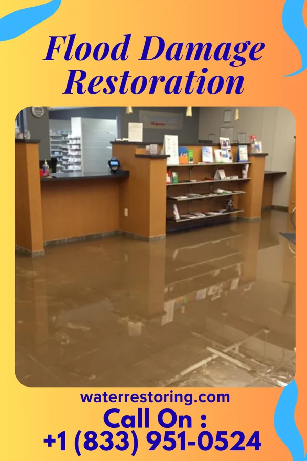 Flood Damage Restoration in Rossville, IN