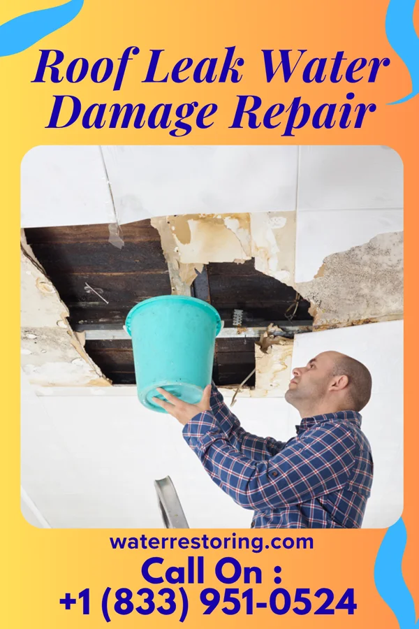 Roof Leak Water Damage Repair in Rossville, IN