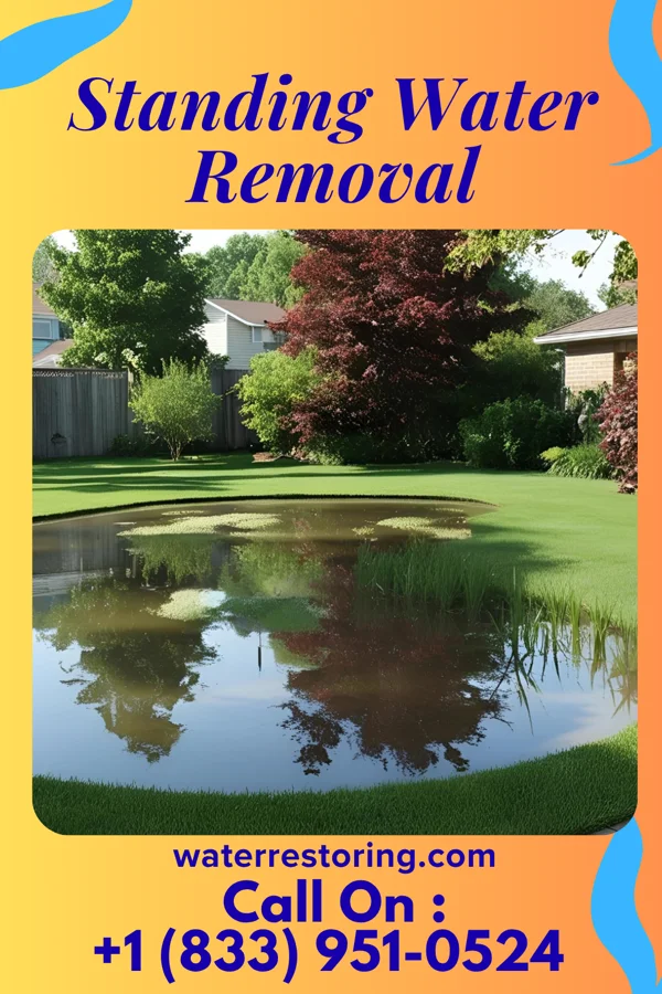 Standing Water Removal in Rossville, IN